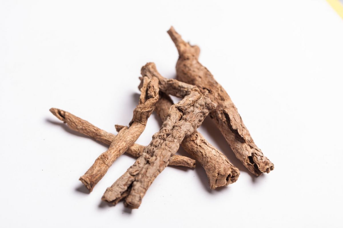 نکات مهم و ممنوعیت های مصرفی چوب چینی